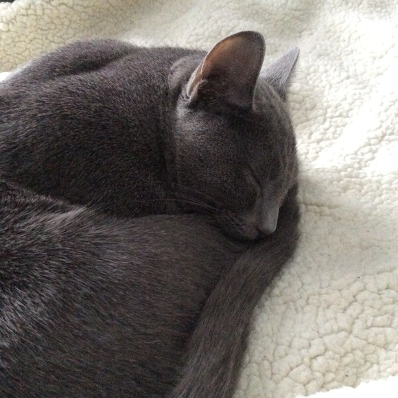 Meet your Posher, Andrea 🕸🥀🕸 - Picture 6 of 11